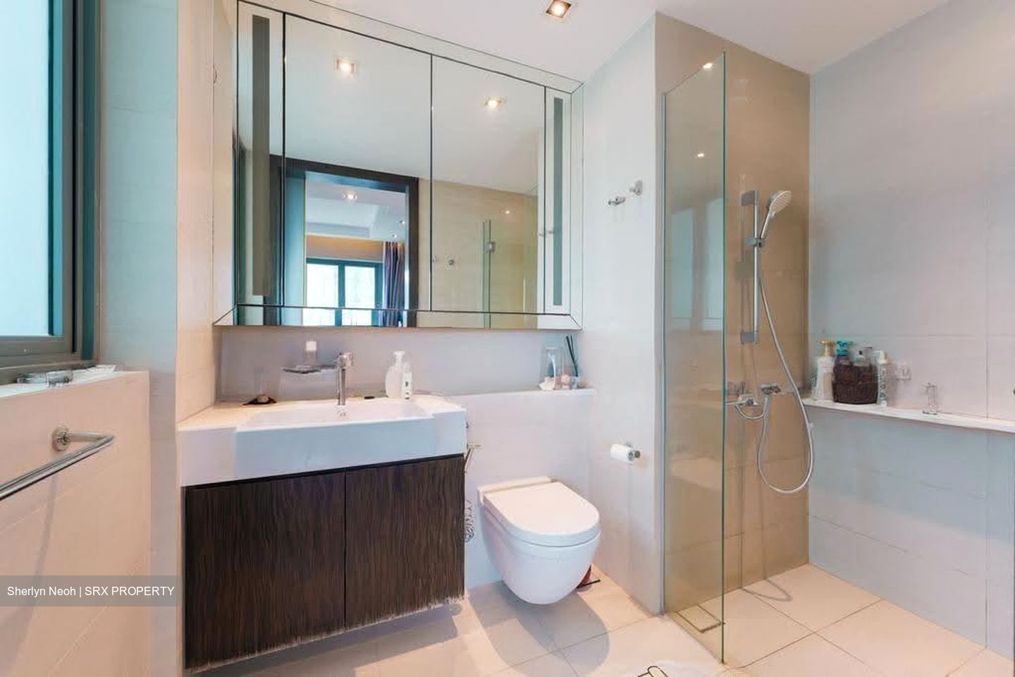 Thomson Three (D20), Apartment #625594801